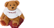 teddy